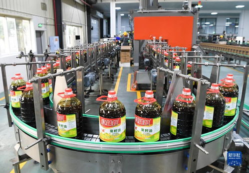 新华全媒 丨国家级食用油保供企业数字化改造提升保供水平 润滑油脂